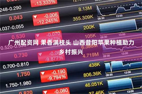 广州配资网 果香满枝头&#32;山西昔阳苹果种植助力乡村振兴