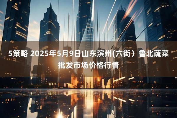 5策略 2025年5月9日山东滨州(六街）鲁北蔬菜批发市场价格行情