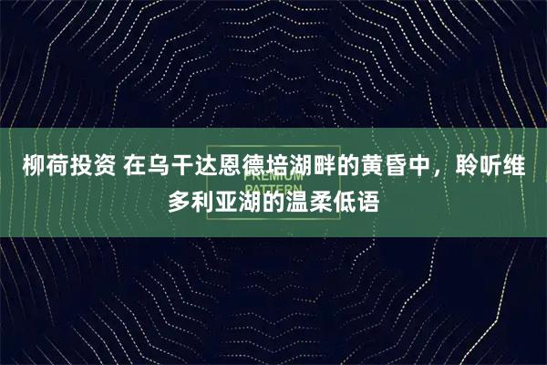 柳荷投资 在乌干达恩德培湖畔的黄昏中，聆听维多利亚湖的温柔低语