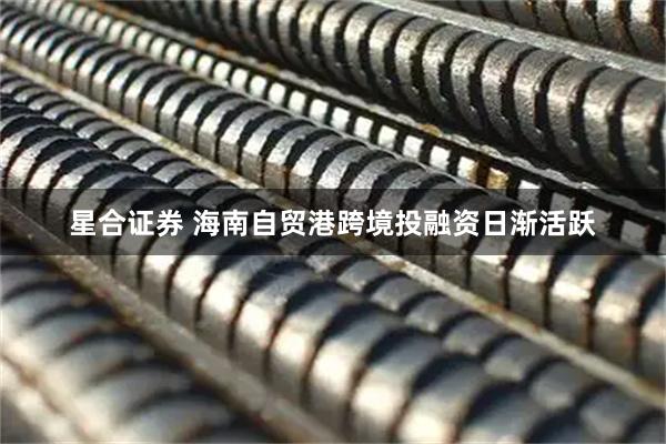 星合证券 海南自贸港跨境投融资日渐活跃