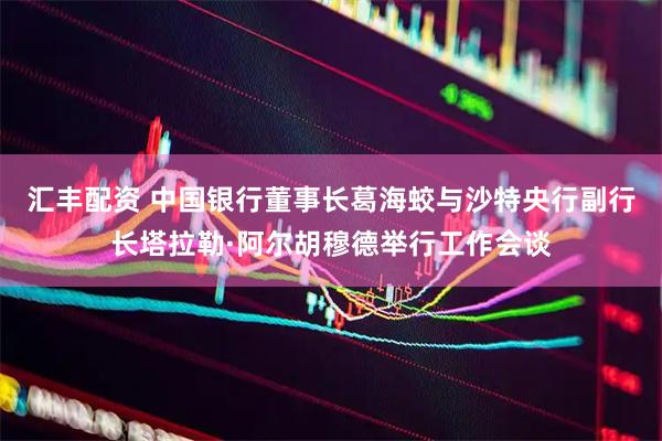 汇丰配资 中国银行董事长葛海蛟与沙特央行副行长塔拉勒·阿尔胡穆德举行工作会谈